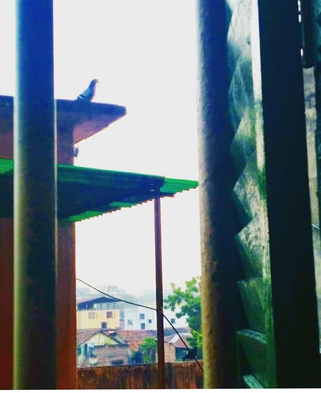 Bhubanbari Heritage Home Stay Calcutá Exterior foto